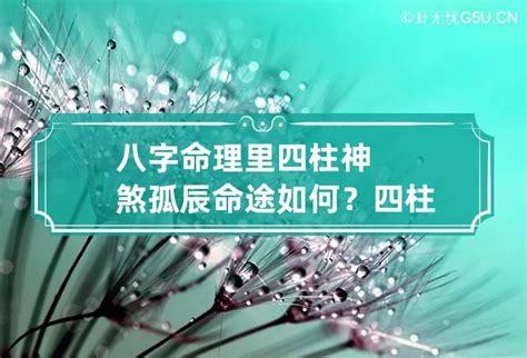 孤神意思|日柱孤辰是什么意思，详解孤辰